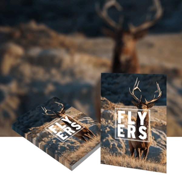 Flyers 